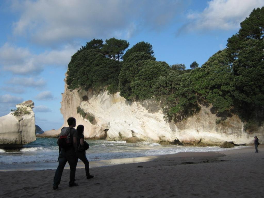 Cathedral Cove Apartment Hahei Room photo